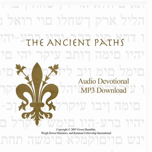 Ancient Paths: Fix Your Gaze MP3
