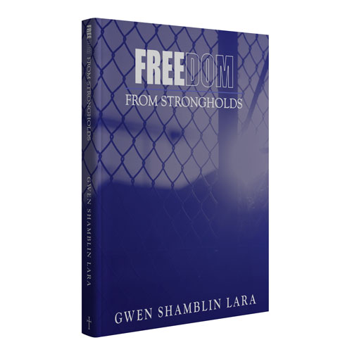 Freedom from Strongholds Physical Workbook