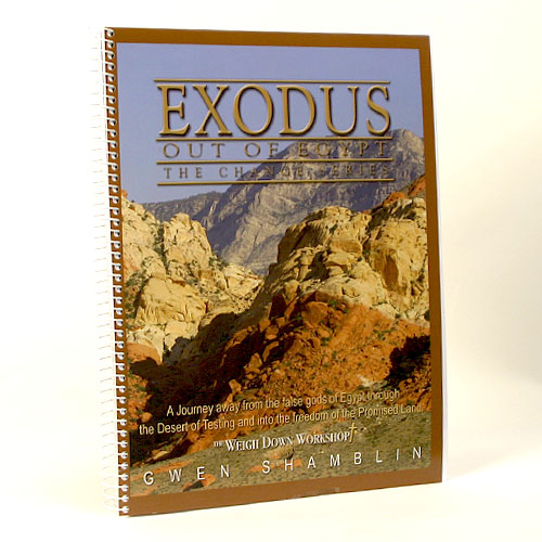 Exodus Out of Egypt - Change Series Physical Workbook