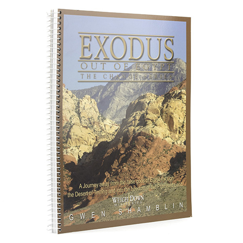Exodus Out of Egypt - Change Series Workbook