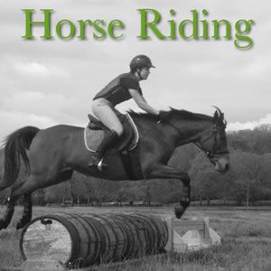 Horse Riding Lessons