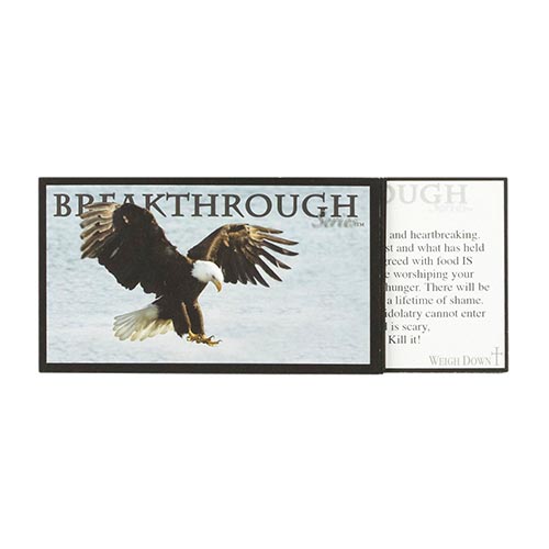 The Breakthrough Series Truth Cards